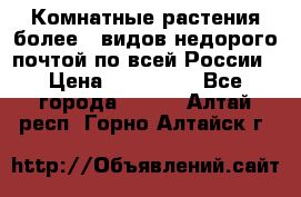 Комнатные растения более200видов недорого почтой по всей России › Цена ­ 100-500 - Все города  »    . Алтай респ.,Горно-Алтайск г.